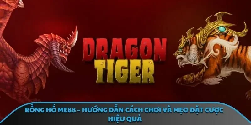 rồng hổ ME88